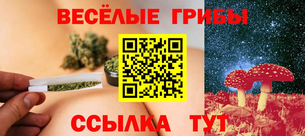 Галлюциногенные грибы прущие грибы Калач-на-Дону